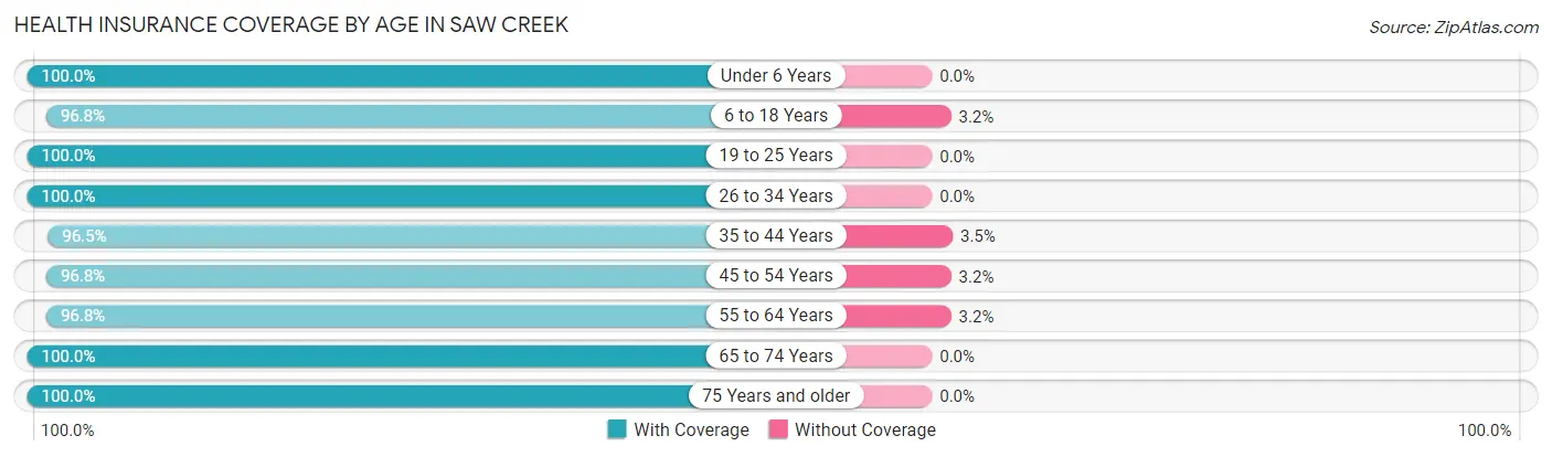 Health Insurance Coverage by Age in Saw Creek