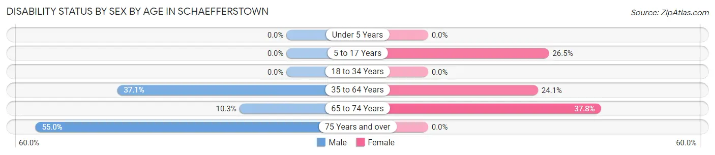 Disability Status by Sex by Age in Schaefferstown