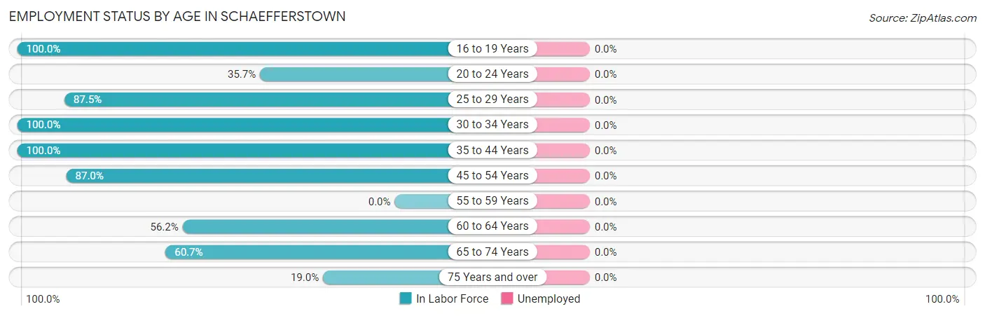 Employment Status by Age in Schaefferstown