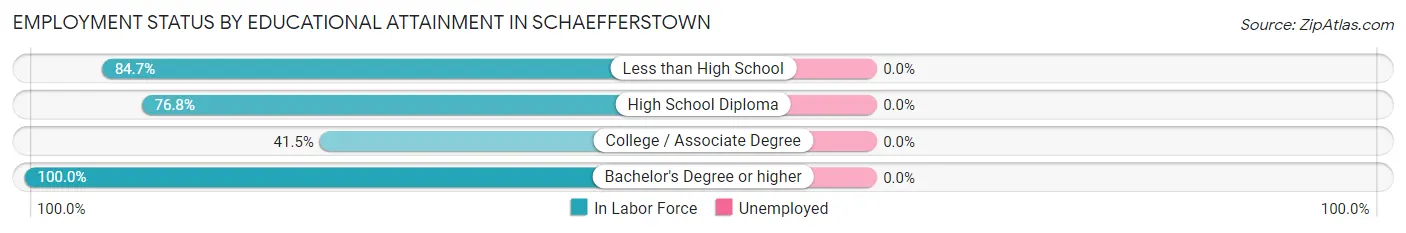 Employment Status by Educational Attainment in Schaefferstown