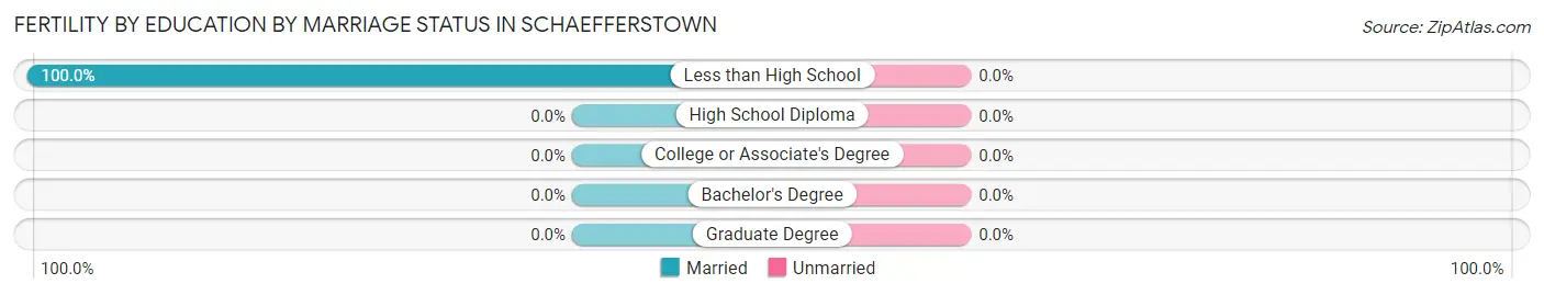 Female Fertility by Education by Marriage Status in Schaefferstown