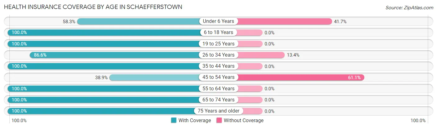 Health Insurance Coverage by Age in Schaefferstown