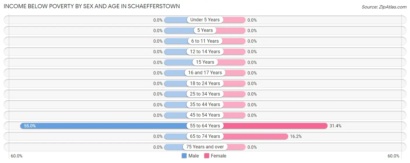 Income Below Poverty by Sex and Age in Schaefferstown