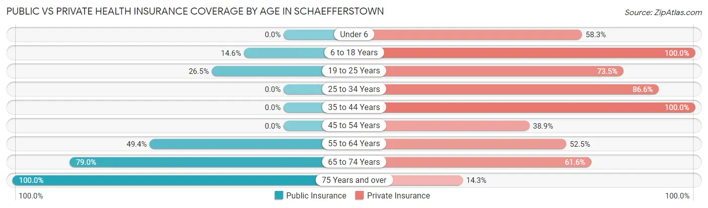 Public vs Private Health Insurance Coverage by Age in Schaefferstown