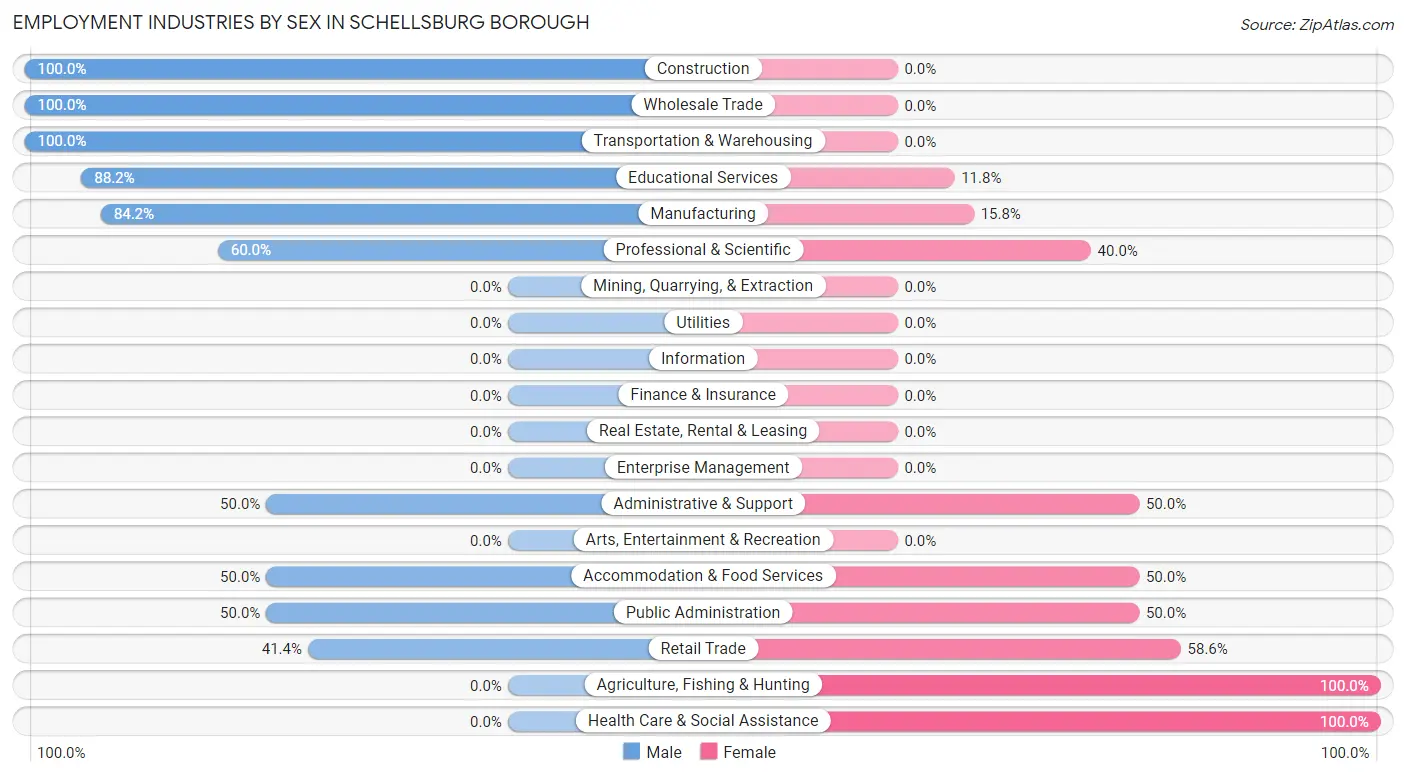 Employment Industries by Sex in Schellsburg borough