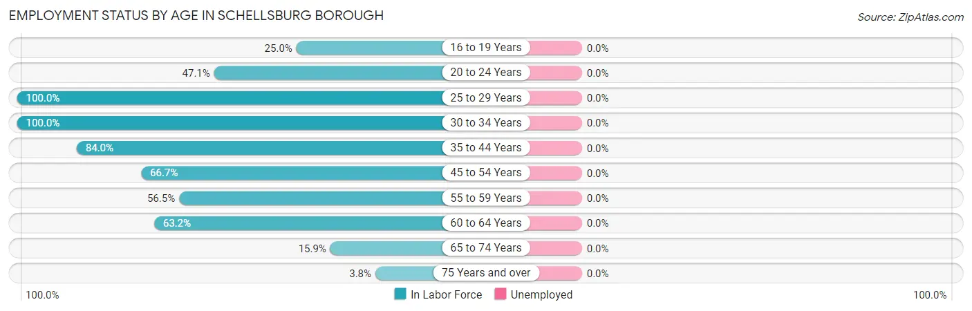 Employment Status by Age in Schellsburg borough