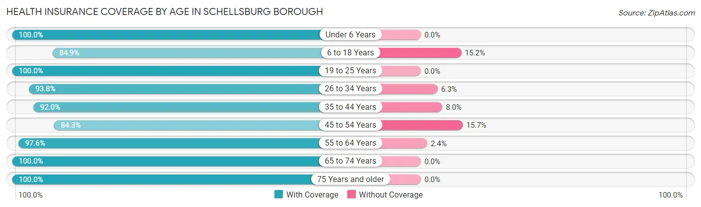 Health Insurance Coverage by Age in Schellsburg borough