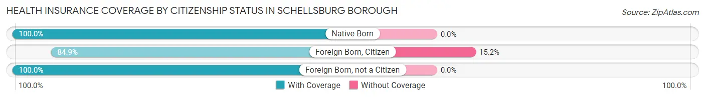 Health Insurance Coverage by Citizenship Status in Schellsburg borough