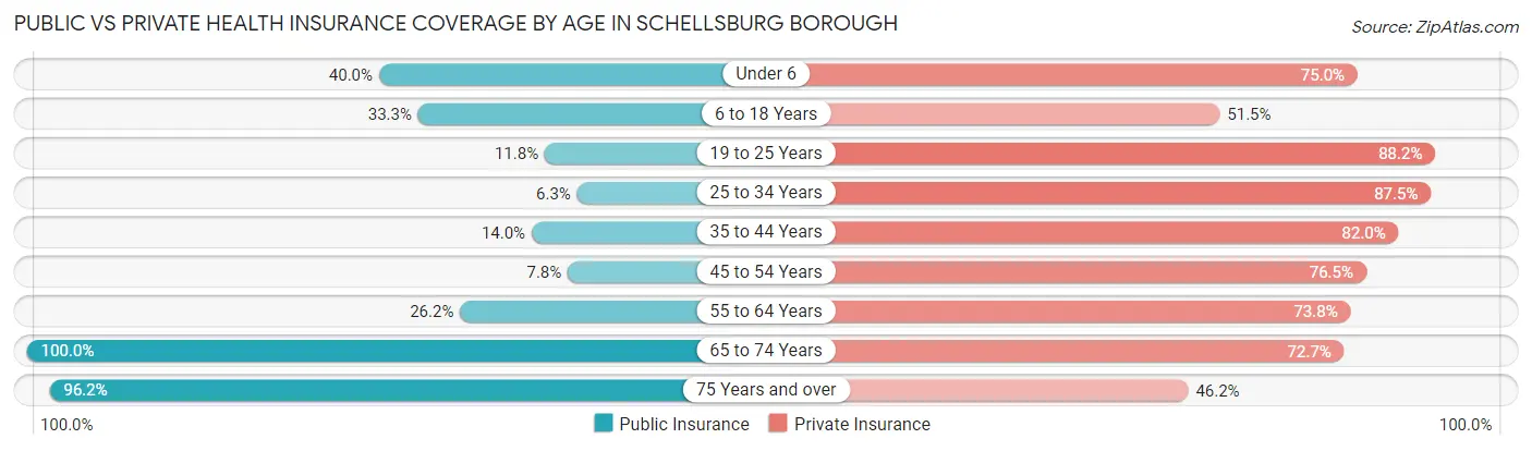 Public vs Private Health Insurance Coverage by Age in Schellsburg borough