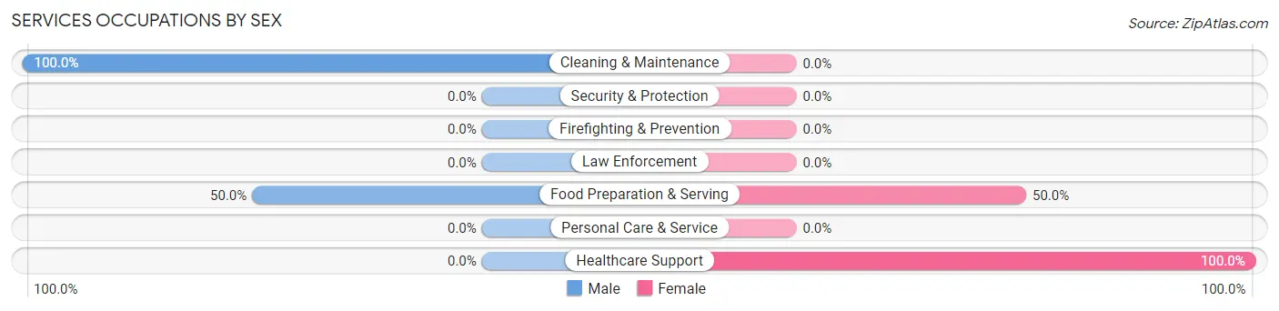 Services Occupations by Sex in Schellsburg borough