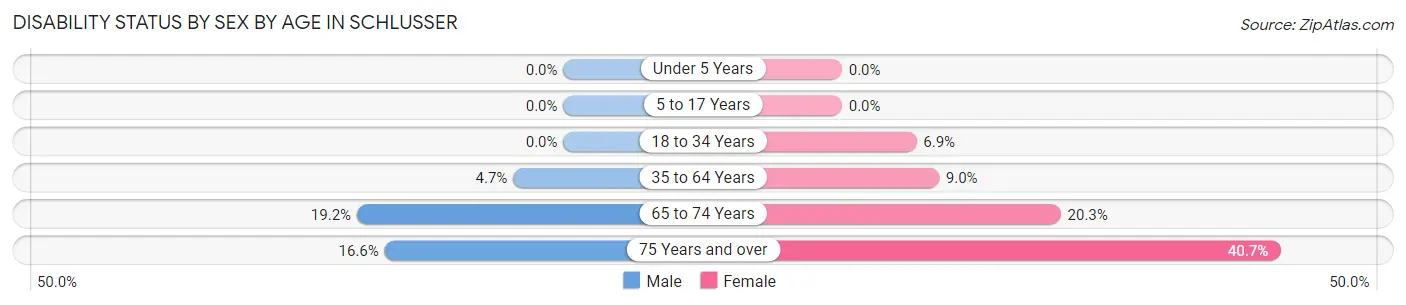 Disability Status by Sex by Age in Schlusser