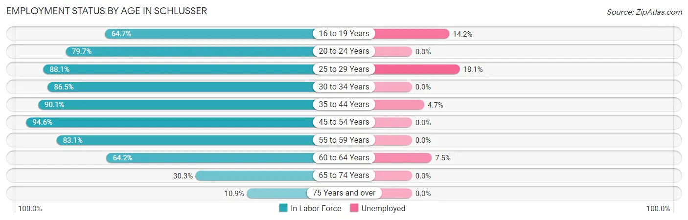 Employment Status by Age in Schlusser