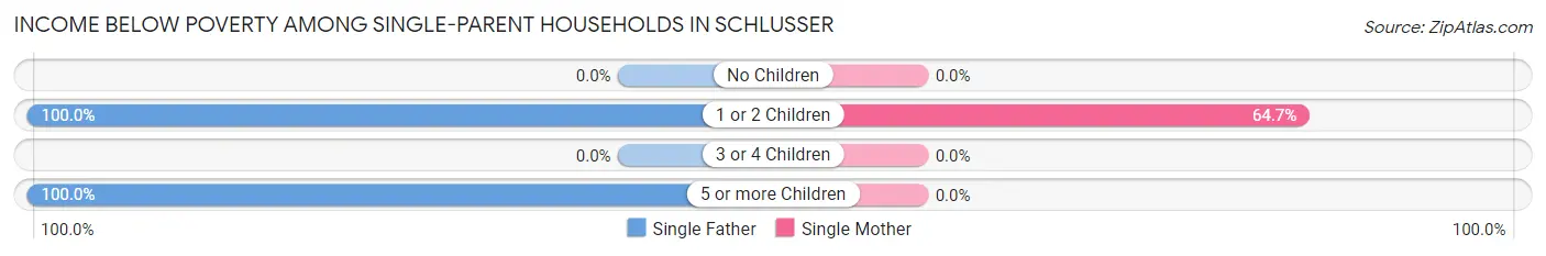 Income Below Poverty Among Single-Parent Households in Schlusser