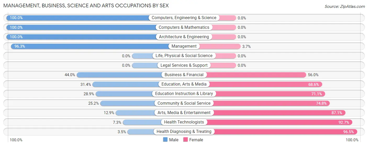 Management, Business, Science and Arts Occupations by Sex in Schlusser