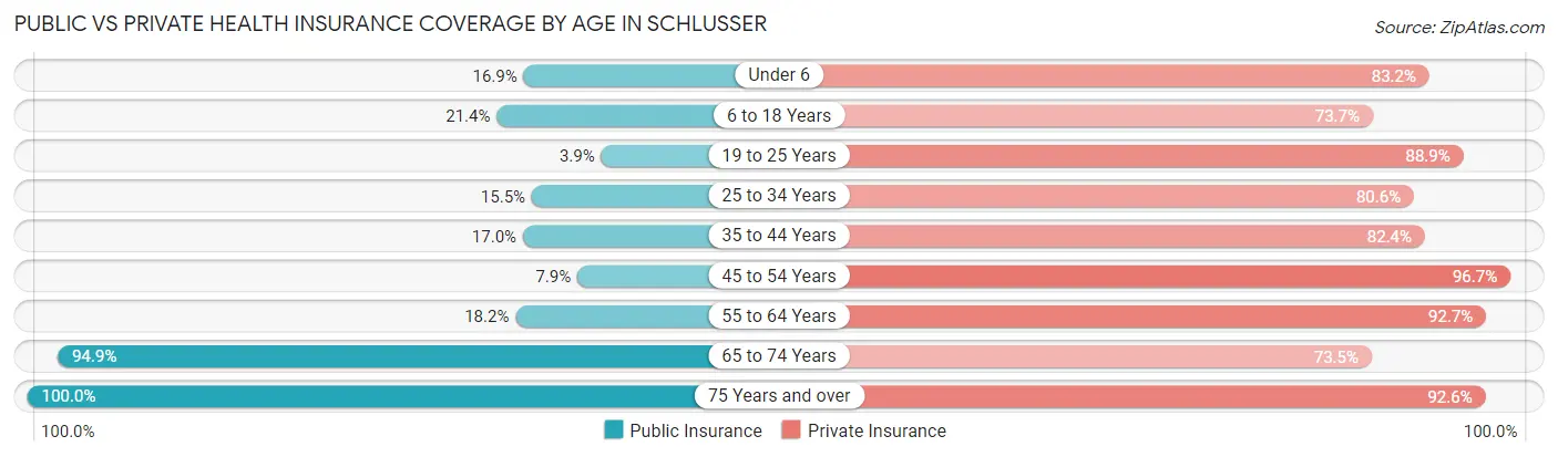 Public vs Private Health Insurance Coverage by Age in Schlusser
