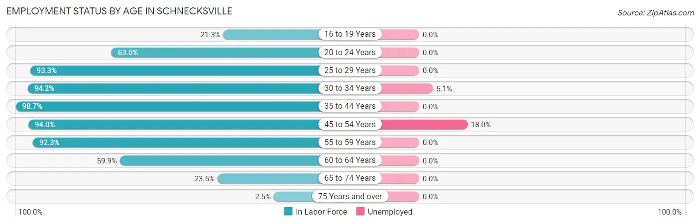 Employment Status by Age in Schnecksville