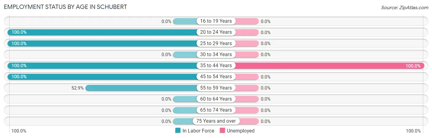 Employment Status by Age in Schubert