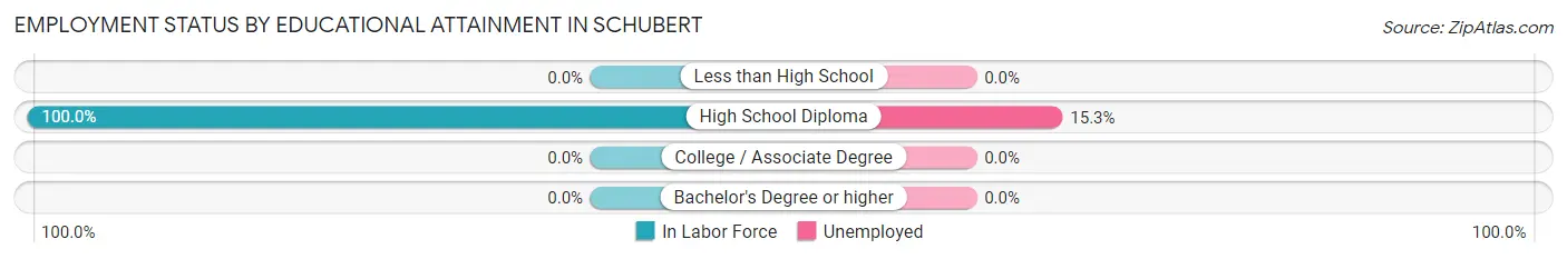 Employment Status by Educational Attainment in Schubert
