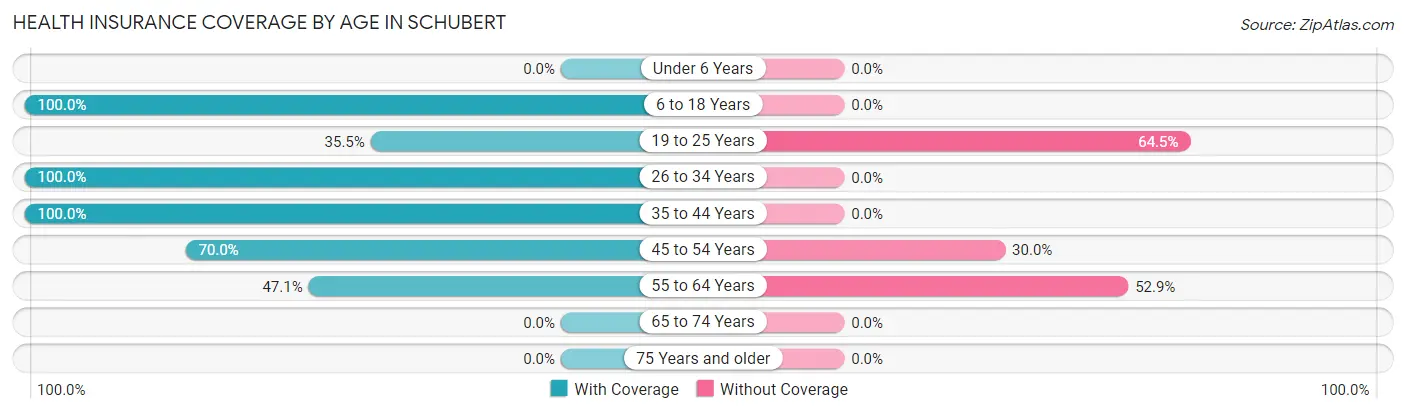 Health Insurance Coverage by Age in Schubert