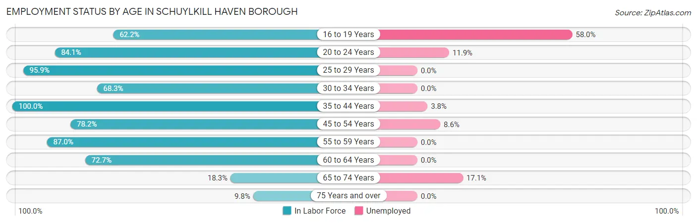 Employment Status by Age in Schuylkill Haven borough