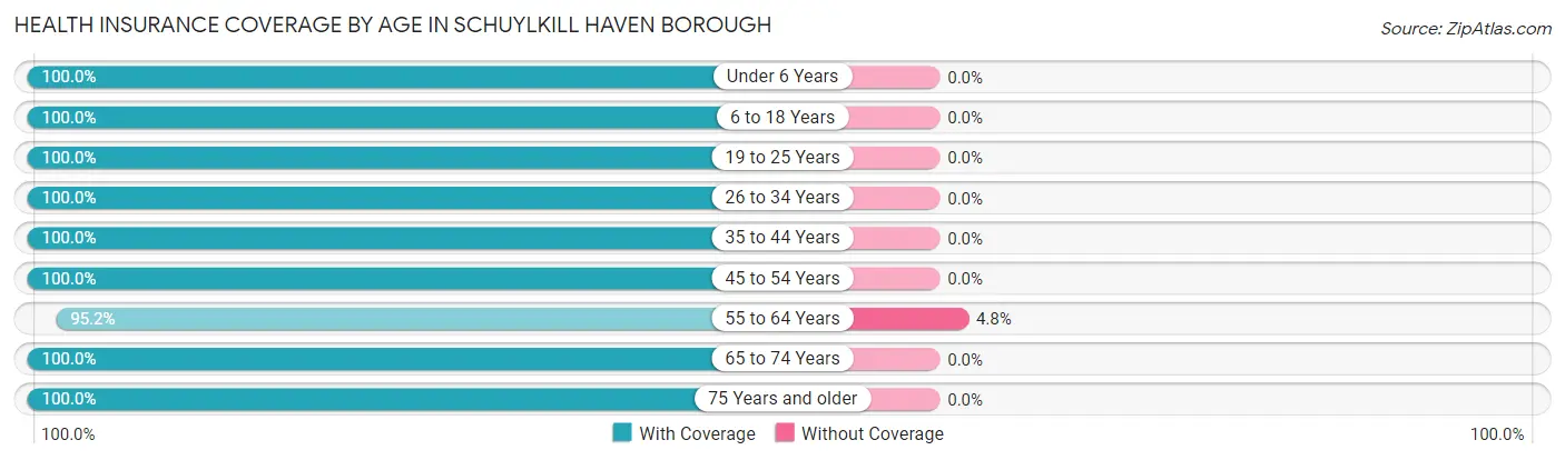 Health Insurance Coverage by Age in Schuylkill Haven borough