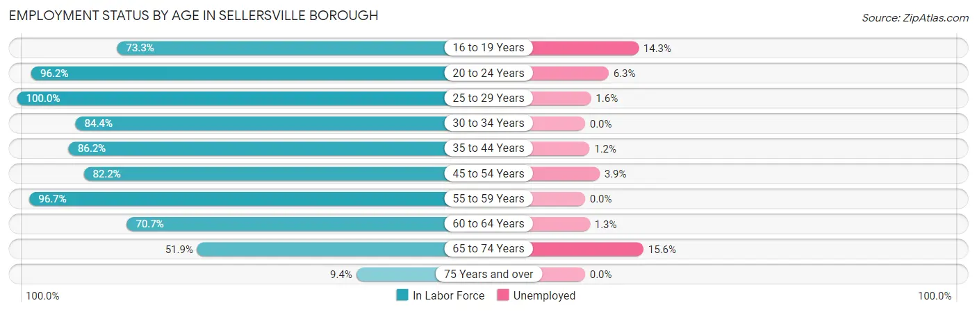 Employment Status by Age in Sellersville borough