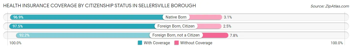 Health Insurance Coverage by Citizenship Status in Sellersville borough
