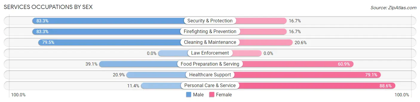 Services Occupations by Sex in Sellersville borough