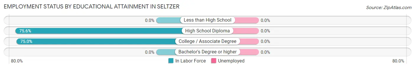 Employment Status by Educational Attainment in Seltzer