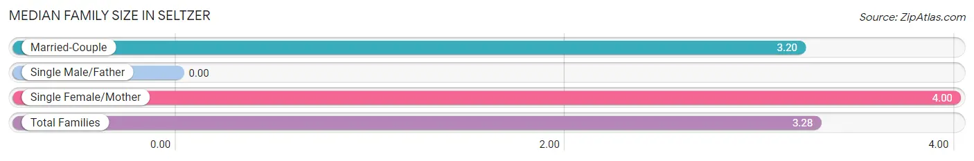 Median Family Size in Seltzer