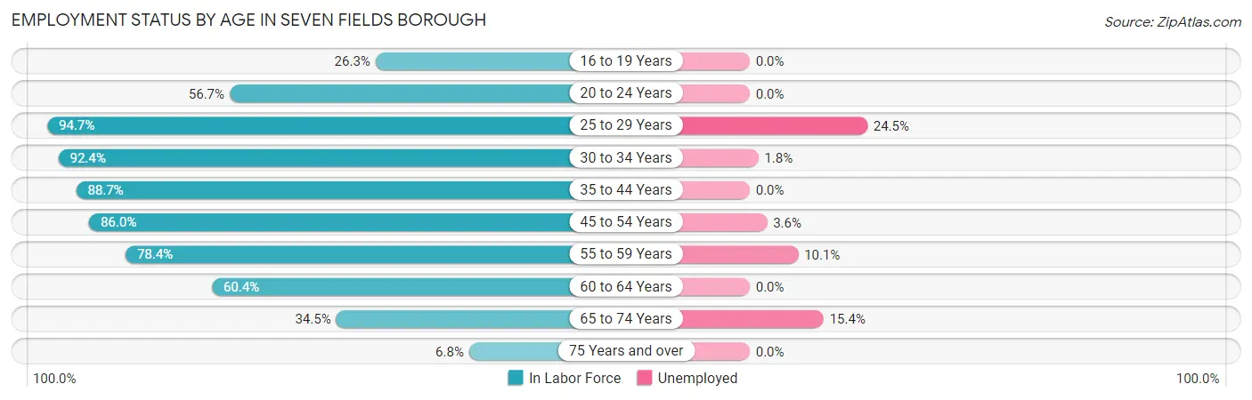 Employment Status by Age in Seven Fields borough
