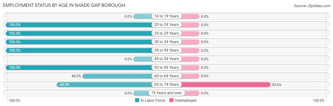Employment Status by Age in Shade Gap borough