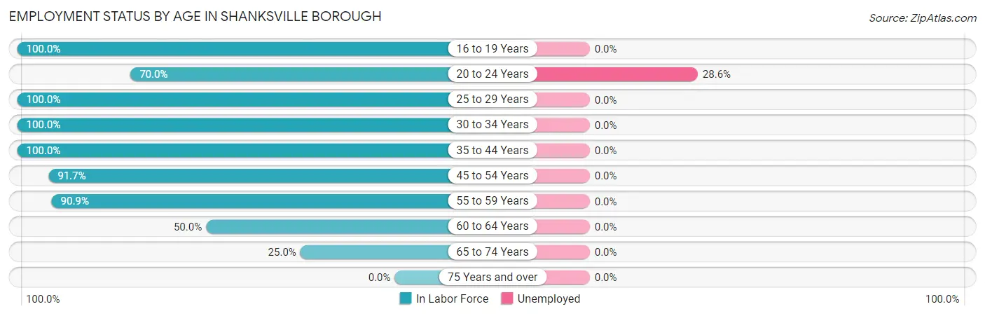 Employment Status by Age in Shanksville borough