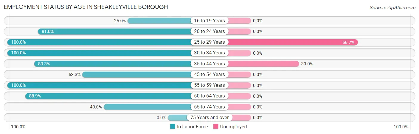Employment Status by Age in Sheakleyville borough
