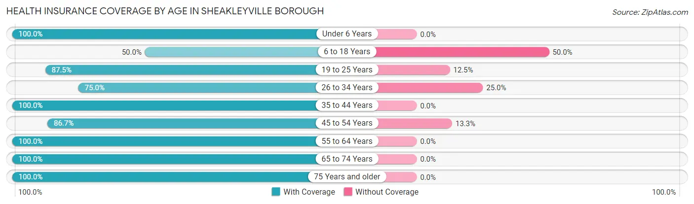 Health Insurance Coverage by Age in Sheakleyville borough