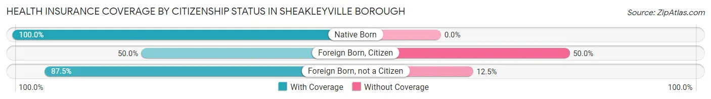 Health Insurance Coverage by Citizenship Status in Sheakleyville borough