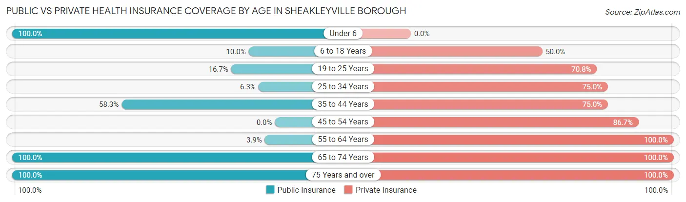 Public vs Private Health Insurance Coverage by Age in Sheakleyville borough