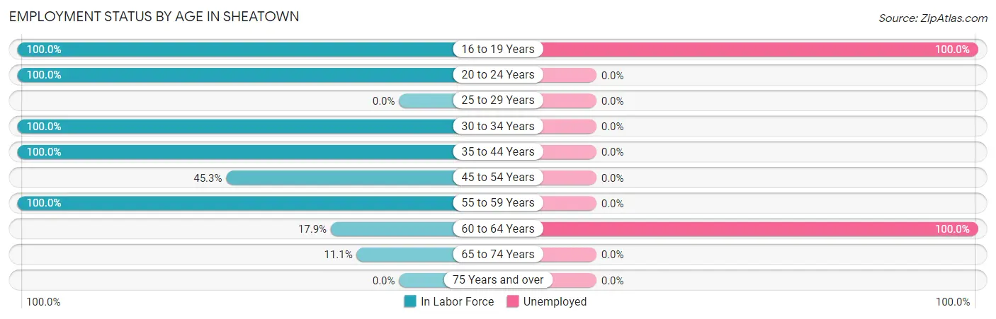 Employment Status by Age in Sheatown