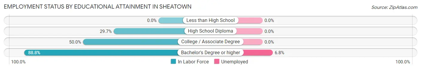 Employment Status by Educational Attainment in Sheatown