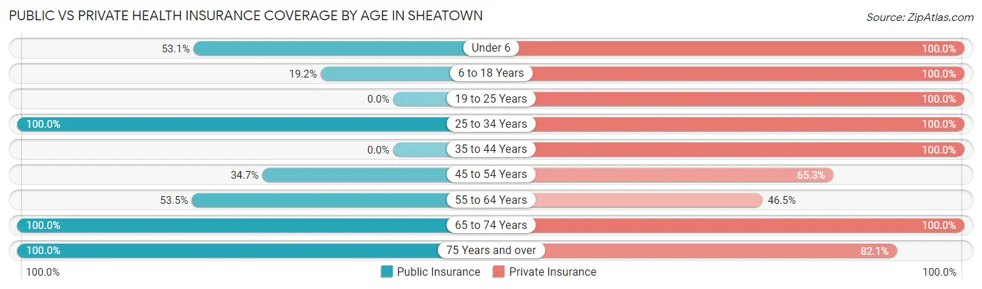Public vs Private Health Insurance Coverage by Age in Sheatown