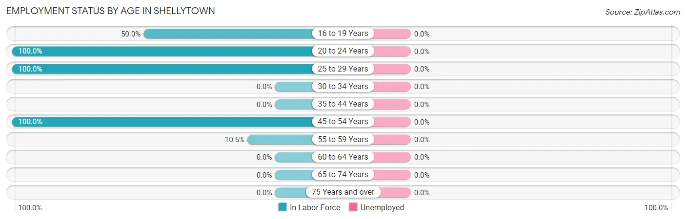 Employment Status by Age in Shellytown