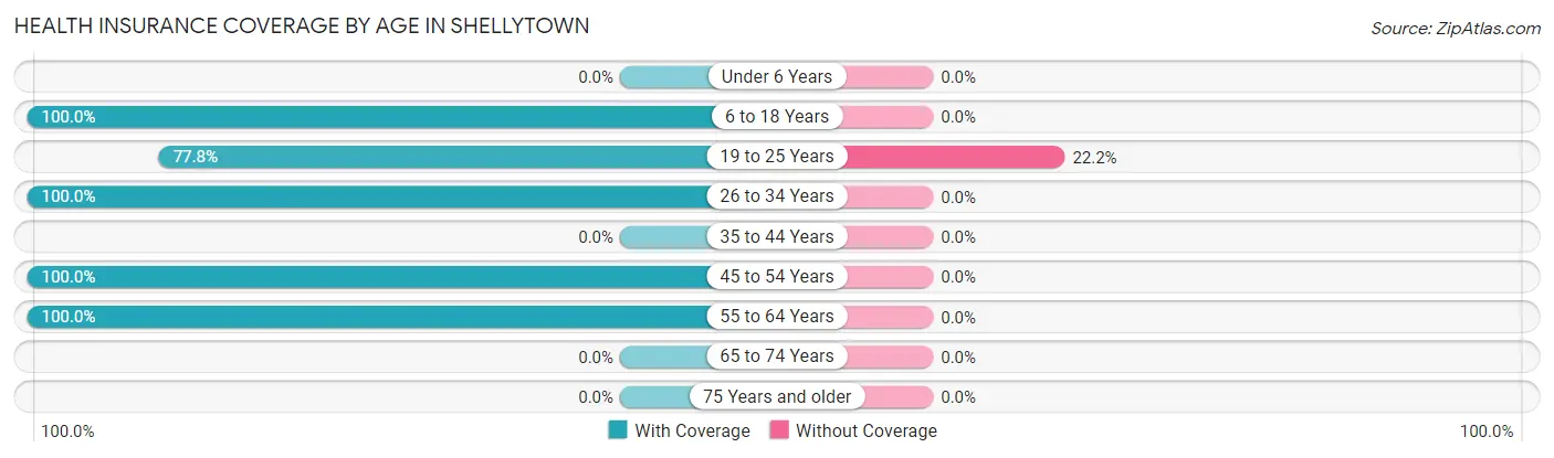Health Insurance Coverage by Age in Shellytown