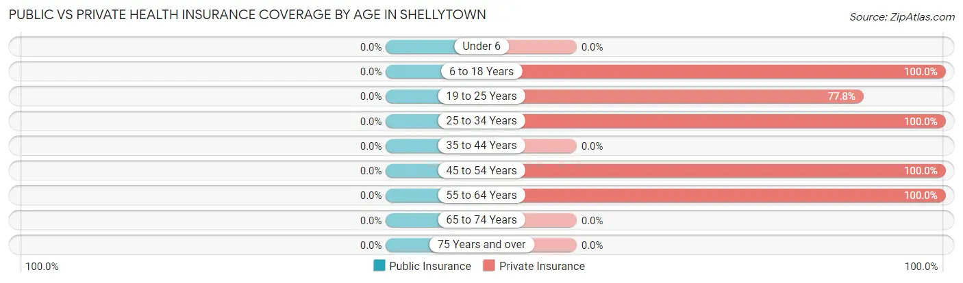 Public vs Private Health Insurance Coverage by Age in Shellytown