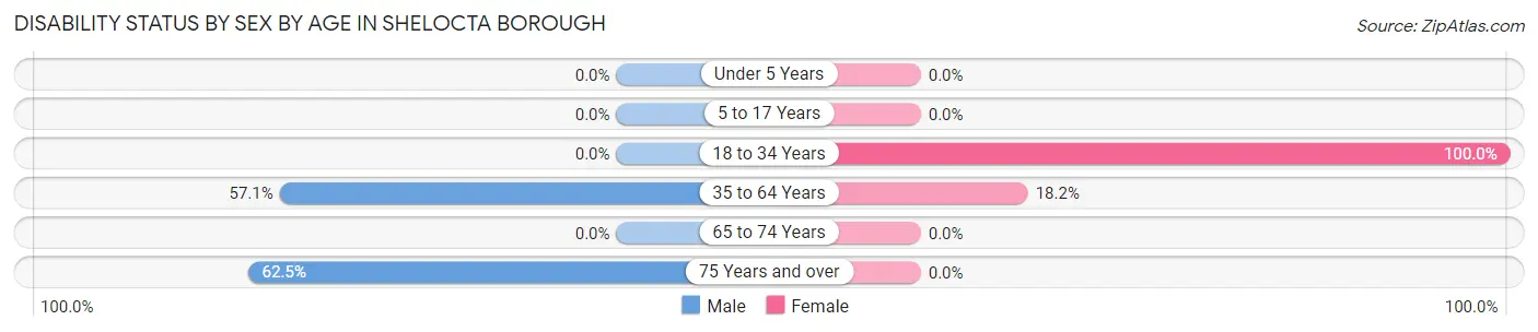 Disability Status by Sex by Age in Shelocta borough