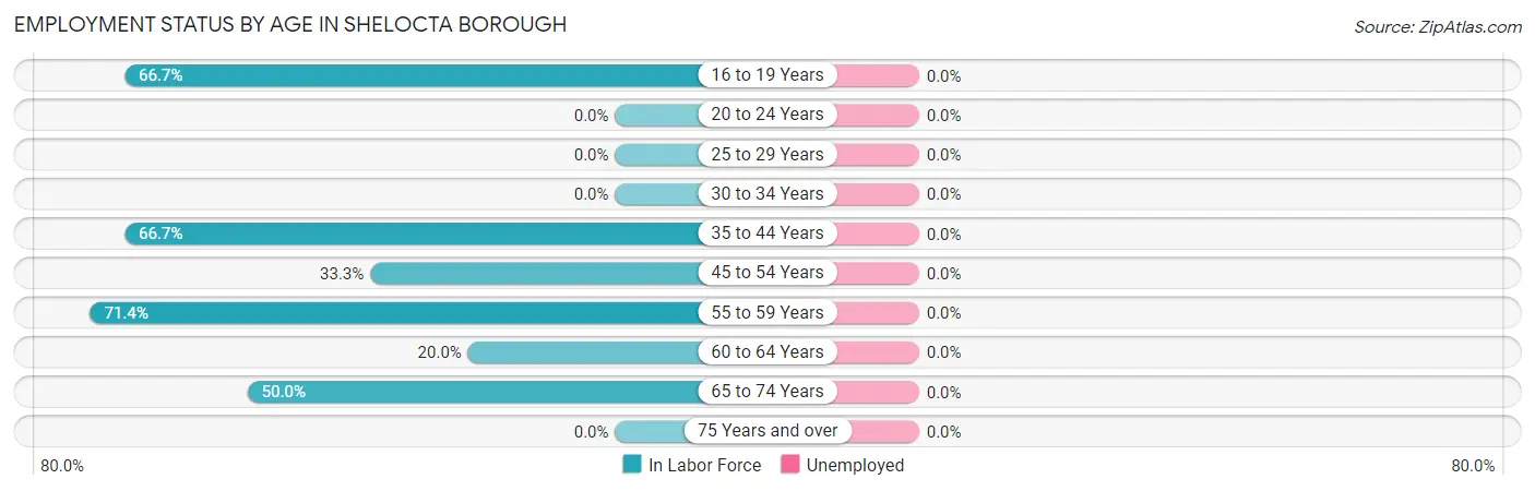 Employment Status by Age in Shelocta borough