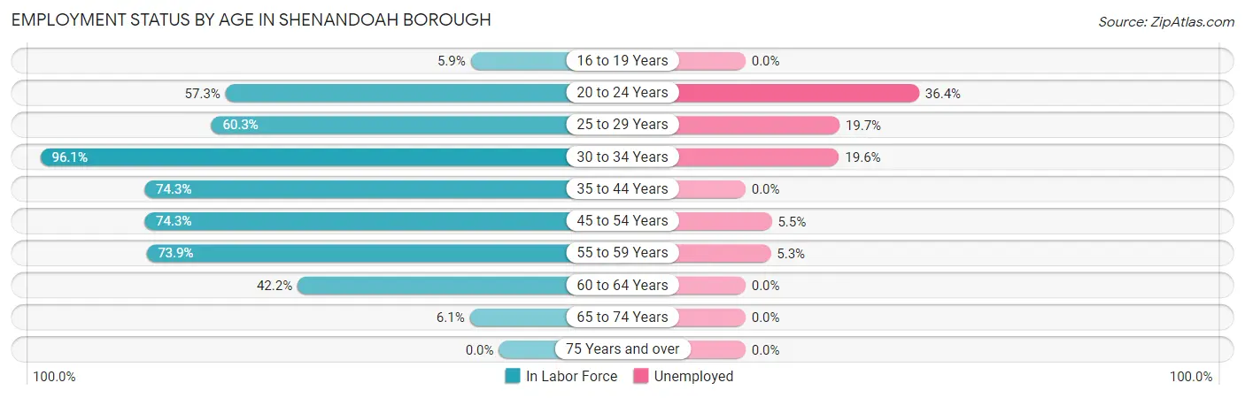 Employment Status by Age in Shenandoah borough