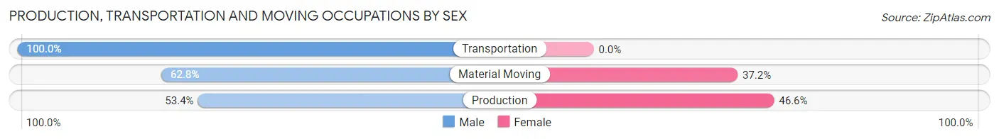 Production, Transportation and Moving Occupations by Sex in Shenandoah borough