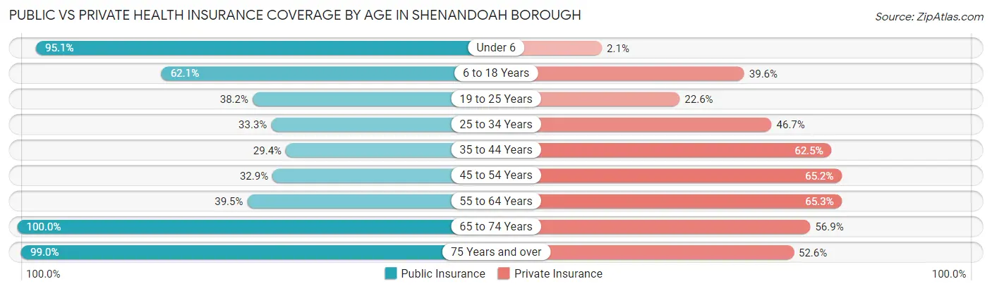 Public vs Private Health Insurance Coverage by Age in Shenandoah borough