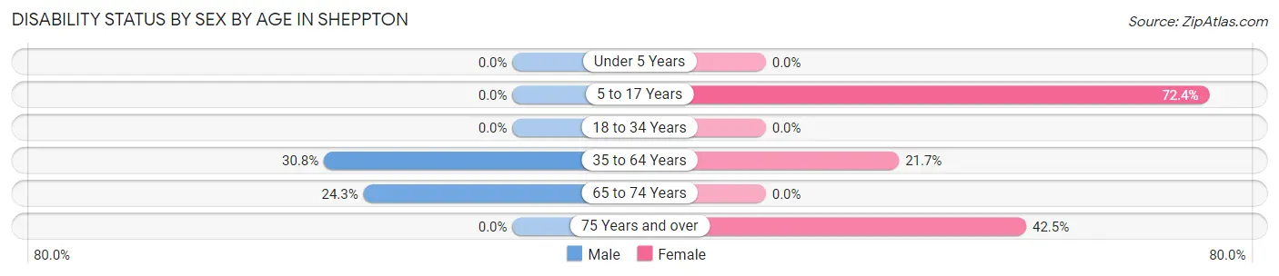 Disability Status by Sex by Age in Sheppton