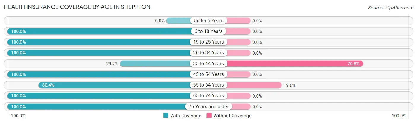 Health Insurance Coverage by Age in Sheppton